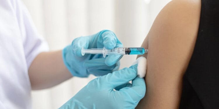 Les États Unis approuvent le premier vaccin contre le chikungunya