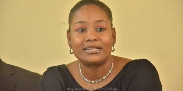 Régine Abraham remplace René Jean Jumeau au Conseil présidentiel | Haiti News Régine Abraham remplace René Jean Jumeau au Conseil présidentiel