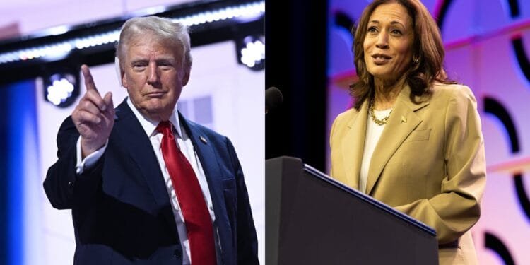 img_2702-1jpg | Haiti News