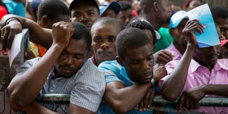 1041c302-1229-4bbd-9ffe-c686924fecd8-1jpg | Haiti News