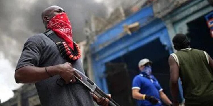 e3e26f16-e297-4fe2-b6c0-319b9c687b3a-3-1.jpg | Haiti News