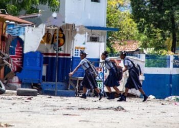 D4b36227 Dede 4797 9dc7 578909e593fe 2 1.jpg