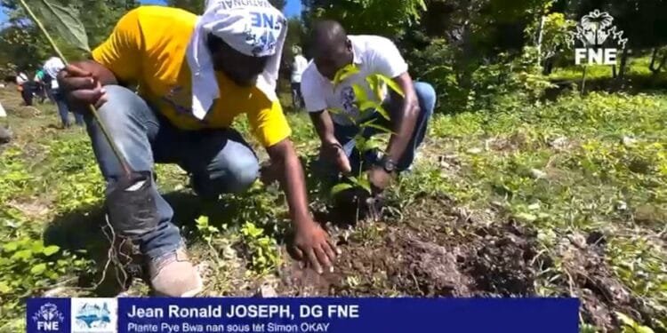 img_7272-1.jpg | Haiti News