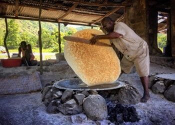 0d027c2a 44fc 4264 884b 3f9a87f659d0 2 1.jpg