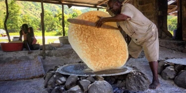 0d027c2a 44fc 4264 884b 3f9a87f659d0 2 1.jpg