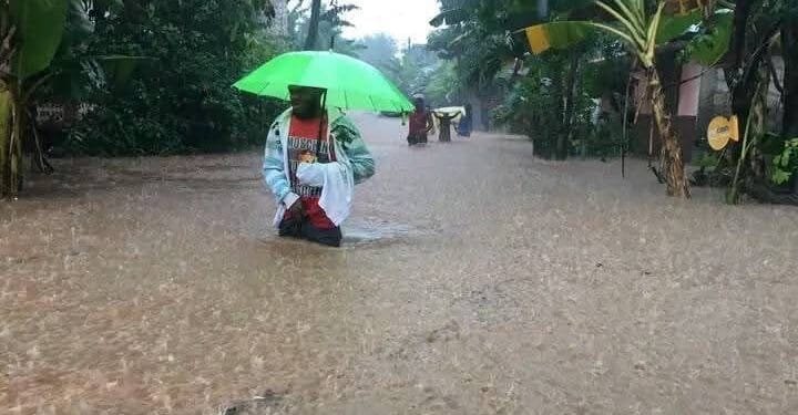 Ab39442f 17ce 46d5 8570 3ed509bb6f51 2 1.jpg