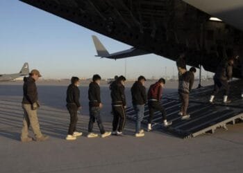 5988c835 29af 48b8 85ee Faa403d0f713