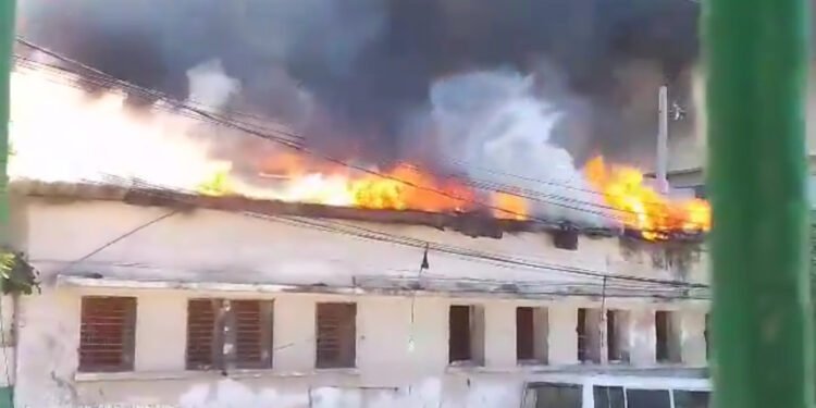 IMG_1987 | Haiti News Img 1987