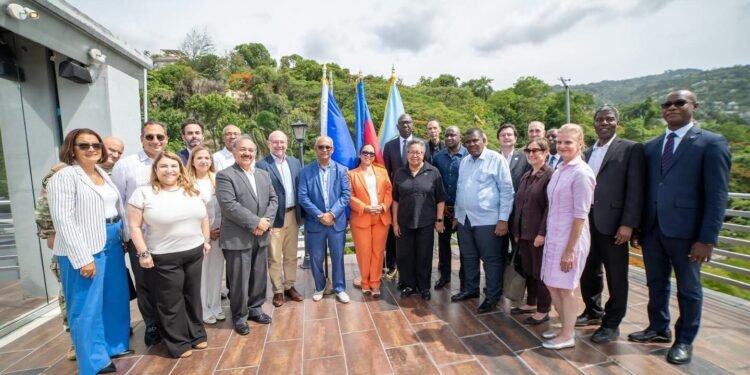 Le MAE accueille le secrétaire général de l’OEA et une délégation internationale de haut niveau