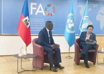 Haïti cherche des financements pour relancer sa production agricole face à la crise alimentaire 1 Haïti cherche des financements pour relancer sa production agricole face à la crise alimentaire