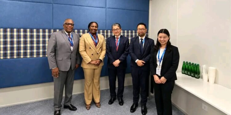 Le MPCE sollicite un appui japonais pour le financement d&rsquo;un programme de création d’emplois