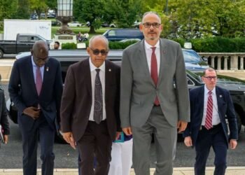 Le secrétaire général de l’OEA, Albert Ramdin, rencontre Alix Didier Fils-Aimé pour discuter de la sécurité et des élections